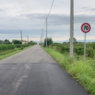 A road surrounded by green bushes and fields