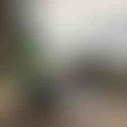 A bike in the rain above a lake