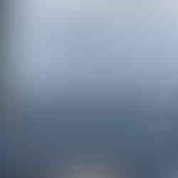 A view from the bridge