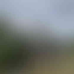 A sign for Bosnia and Herzegovina