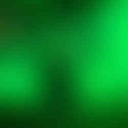 a green reggae festival