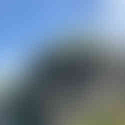 A stone hill with statues of wolves atop it