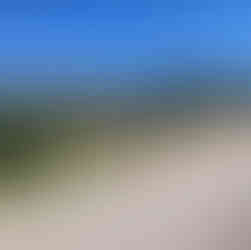 Low sparse mountains behind olive groves and fields