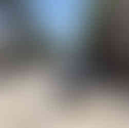 A paved albanian road with palm trees