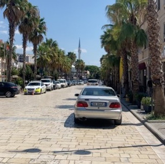 A paved albanian road with palm trees