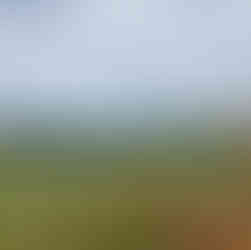 A distant rural house