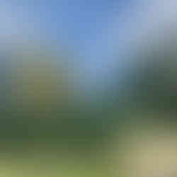 A mirror showing a cyclist in front of swiss mountains