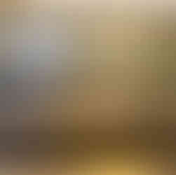 A painting showing the aerial view of versailles