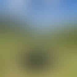 A bike in front of green alps