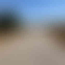 A tarmac road leading through dry fields