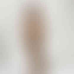 Waxwork of an ancient human (otzi)