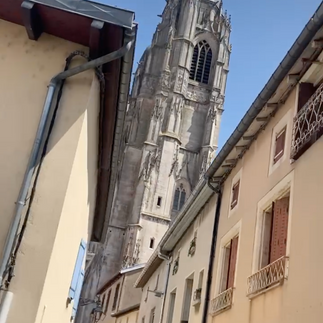 A big cathedral seen through buildings