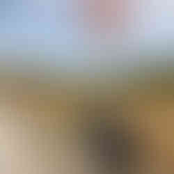 A bike leaning against a sign with a view in the distance