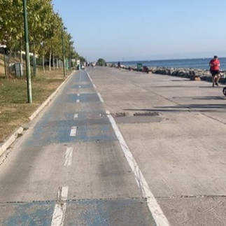 A scruffy cycle path by the sea in a park