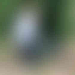 A bike leaning on a bike trail sign