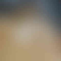 A cat sat at a table playing cards