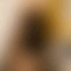 Disassembled bicycle in box