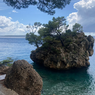 A rock with trees growing from it in a blue sea 