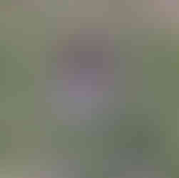 one dry shoe, one wet shoe