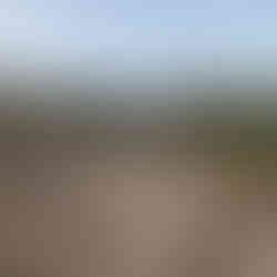 Andrew walks down a hill from a tower