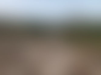 Day 51: Ikaria, August 21st.