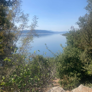 A lake through the shrubs