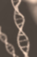 DNA_edited.jpg