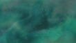 green savaz in silver flower (1).png