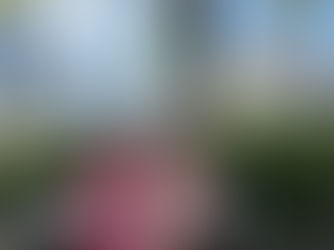 あなたとお友達に5％OFFプレゼント