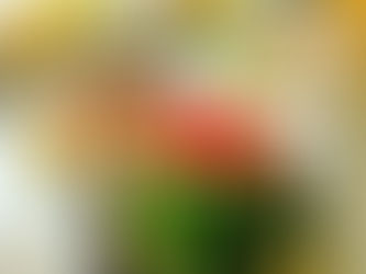 University Preparatory Academy Catering Event