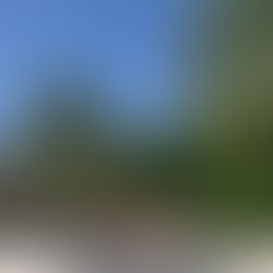 Amari Havodda - Die Trauminsel