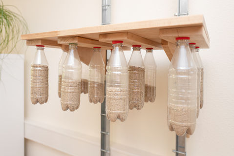 JzB Ja zur Bewegung osteo Physio Ego Chiro Riesa