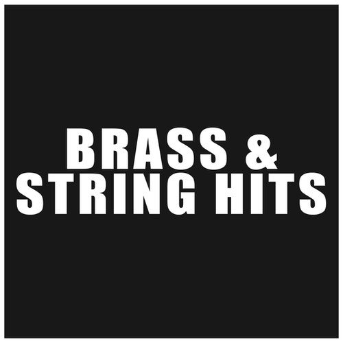 Brass & String Hits 24Bit WAV OrangeGrooveSamples