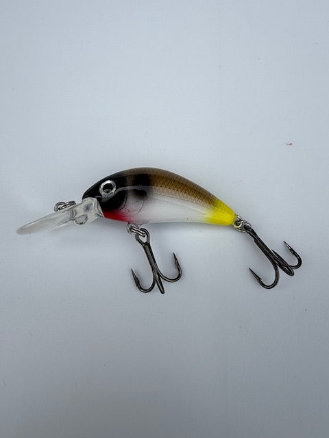 Michael Archer Ace Shad Crankbaits