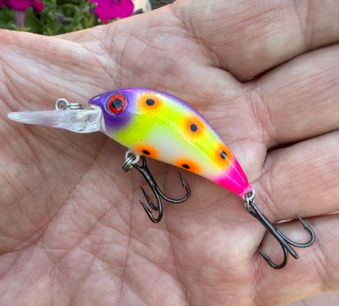 Ace Tackle Ace Shad Crankbaits BES exclusive, CHICKEN POX