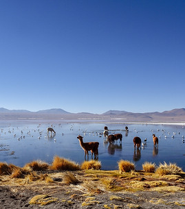 uyuni-5761762_1920.jpg