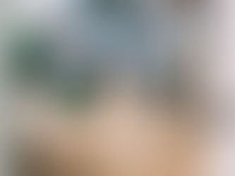 How NOT to Clean Wooden Floors?