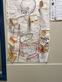 Screenshot 2025-10-01 at 2.13.04 PM.png