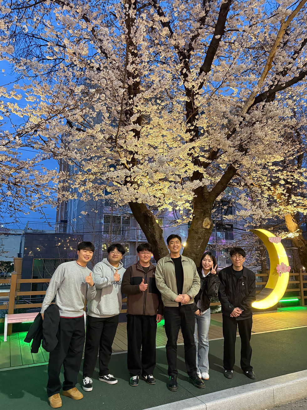 Cherry blossom