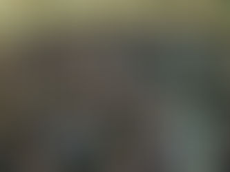 W obronie polityki i polityków