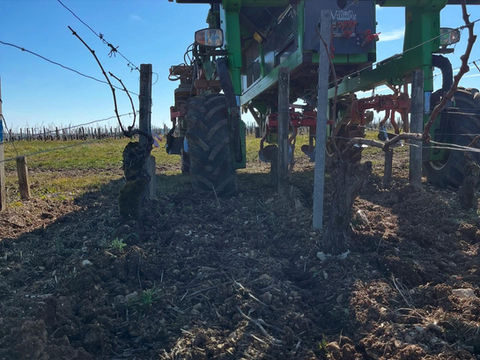 Tracteur entre les rangs de vignes à Chablis