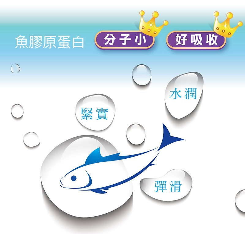NEW網08-魚.jpg
