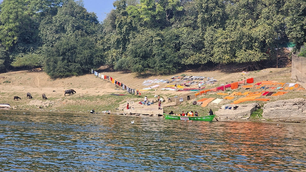 Laundry laid out to dry, and the cows to the left. I wonder if the cows live there, or if they traveled with their owners to provide milk and enjoy the Kumba Mela