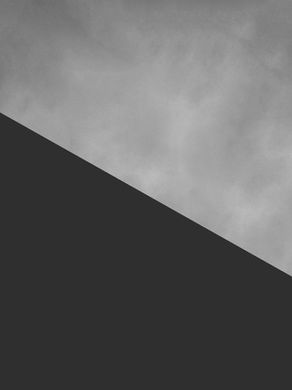 Tardigrades May See Only in Black & White