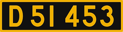 D51453.png