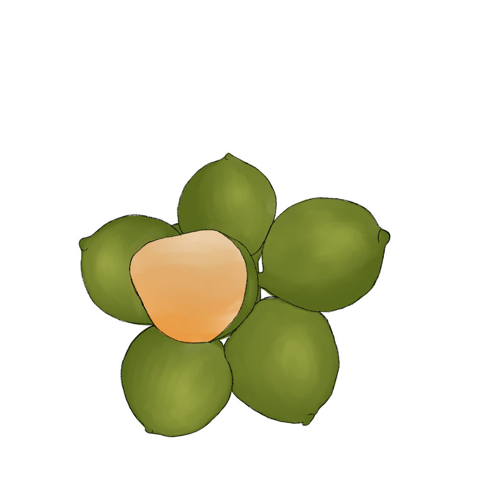 8F69570D-A8EF-4234-82A3-E1ABA9881EEA