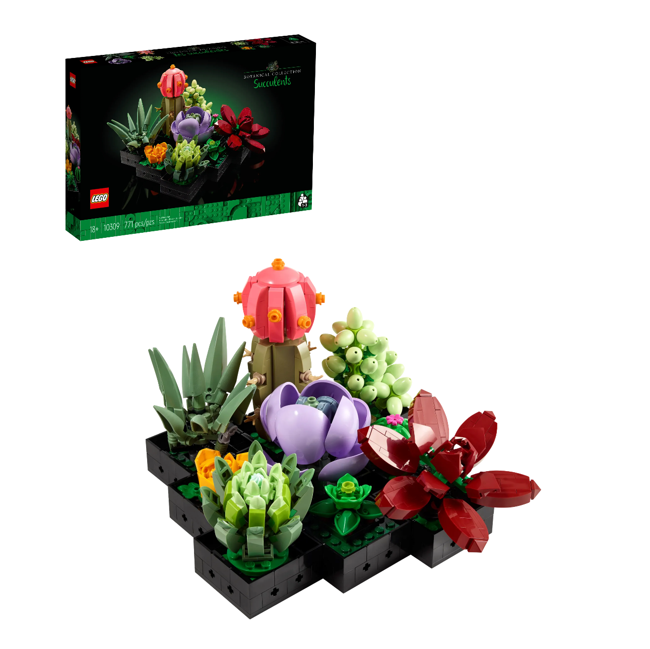 LEGO® (10309) Botanicals Succulents