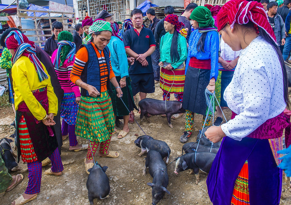 Habitants réunis au marché de Dong Van