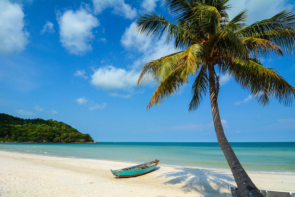 Plage de Phu QUoc avec palmier et barque