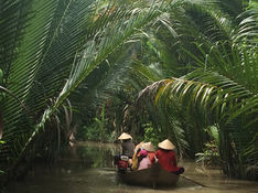 Barque sur un canal bordé de cocotiers d’eau à Ben Tre
